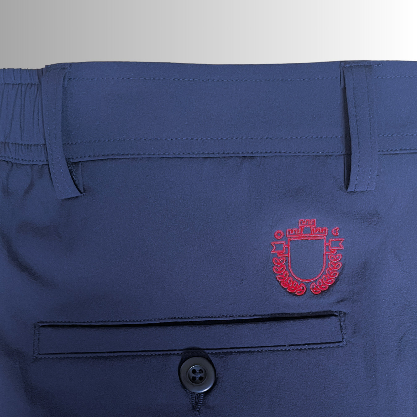 image showing the embroidered logo on the back of the ITR Tour Golf Shorts